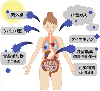 デトックスと発汗を促進！